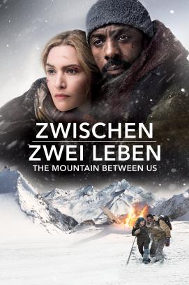 Zwischen zwei Leben (2017)