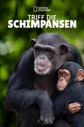 Meet the Chimps - Staffel 1 (2020)