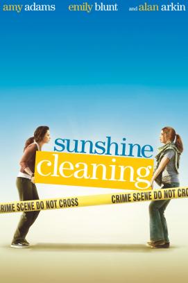 Sunshine Cleaning (2008)