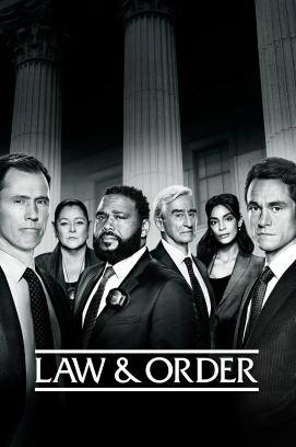 Law & Order - Staffel 22 (2023)